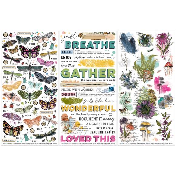 49 and Market - Curiosities in Willow Grove - Essential Rub-On Transfer Set