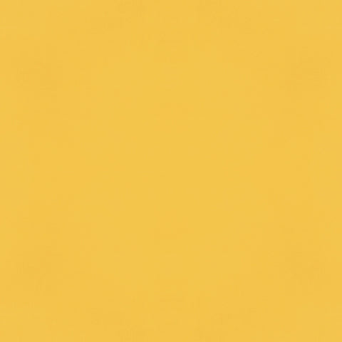 Simple Stories - Color Vibe Collection - 12 x 12 Double Sided Paper -Dandelion