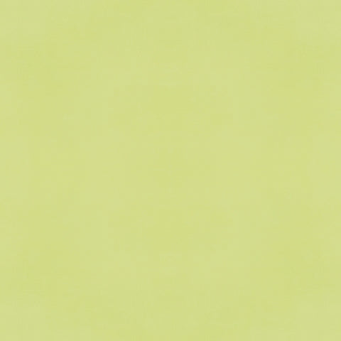 Simple Stories - Color Vibe Collection - 12 x 12 Double Sided Paper - Pear
