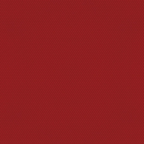 Simple Stories - Color Vibe Collection - 12 x 12 Double Sided Paper -Cranberry