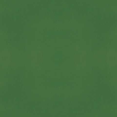 Simple Stories - Color Vibe Collection - 12 x 12 Double Sided Paper - Pine