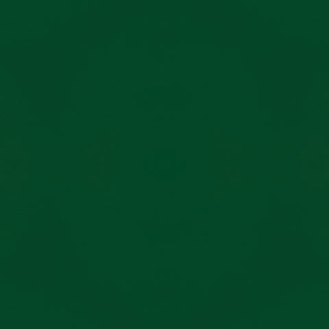 Simple Stories - Color Vibe Collection - 12 x 12 Double Sided Paper - Evergreen