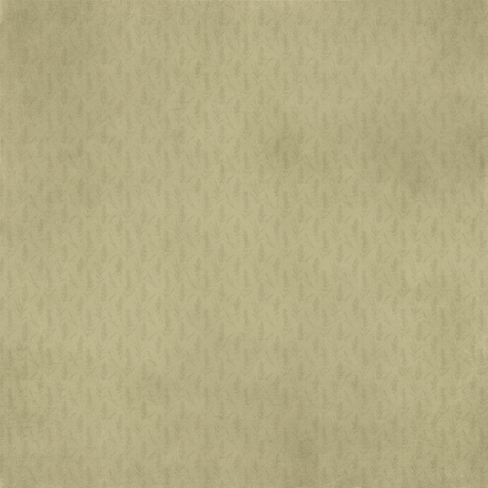 Light olive 12 x 12 paper with a subtle texture