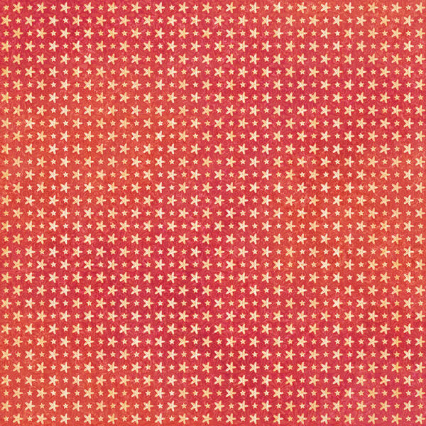 Graphic 45 - Seas The Day Collection - 12 x 12 Double-Sided Cardstock -Coral Red Pattern & Solid Sheet