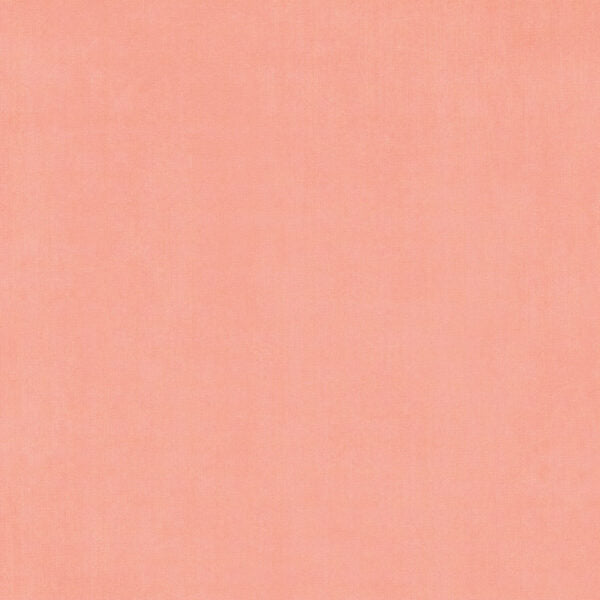 Graphic 45 - Fairy Boutique Collection - 12 x 12 Double-Side Cardstock - Posey Pink Pattern & Solid Sheet