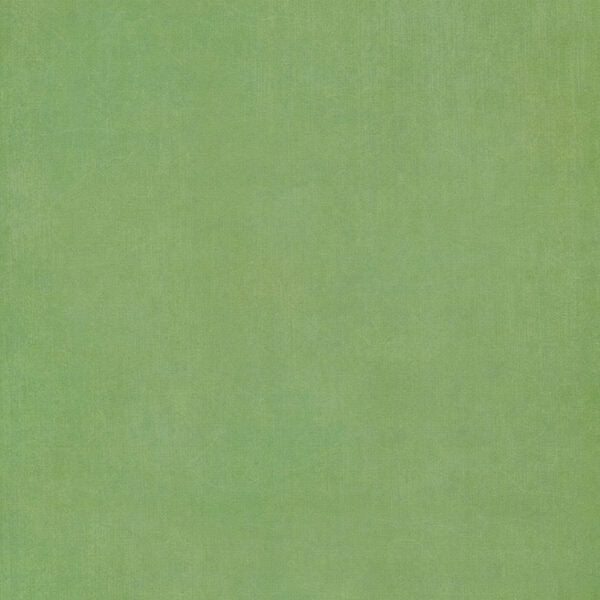 Graphic 45 - Fairy Boutique Collection - 12 x 12 Double-Side Cardstock - Spring Green Pattern & Solid Sheet