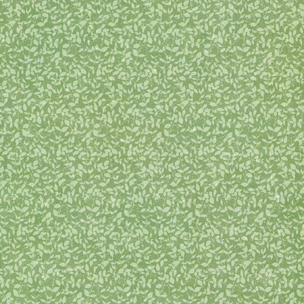 Graphic 45 - Fairy Boutique Collection - 12 x 12 Double-Side Cardstock - Spring Green Pattern & Solid Sheet