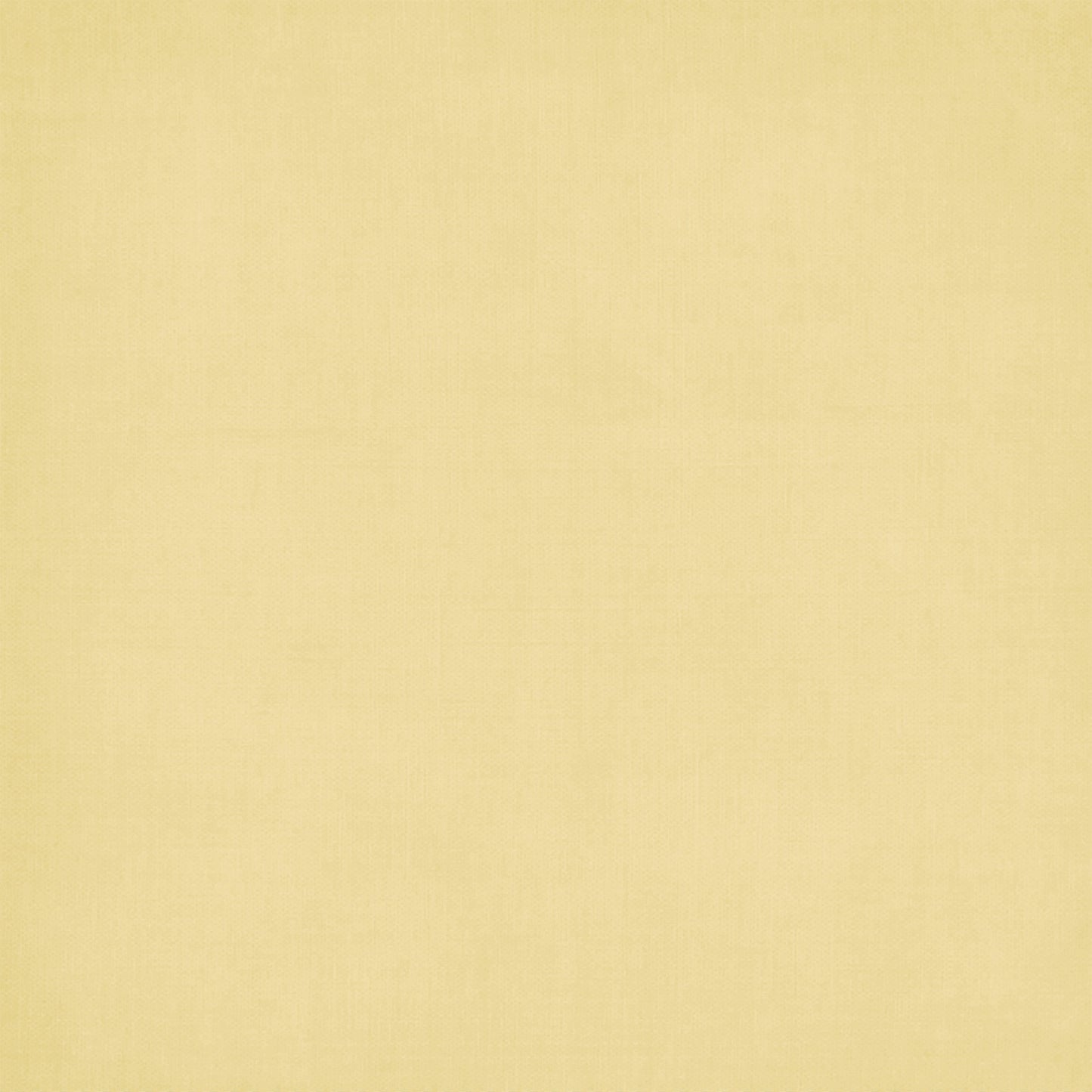 49 and Market - Botanical Buzz Collection - 12 x 12 Double-Sided Paper - Solids 2