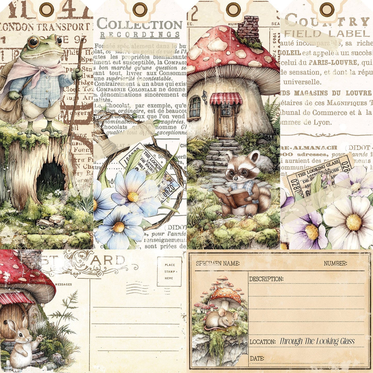 49 and Market - The Looking Glass Collection - 12 x 12 Double-Sided Paper - Collector Of Echoes