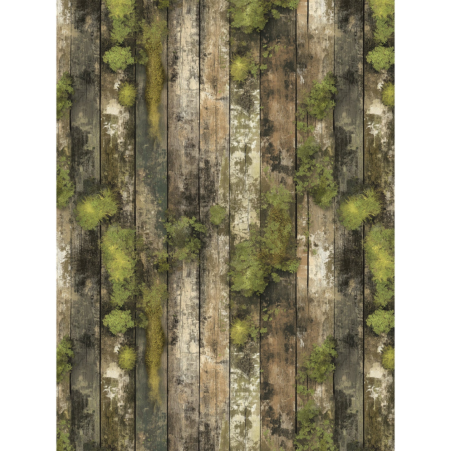 49 And Market - Campfire Memories Collection - 6 x 8 Collection Pack