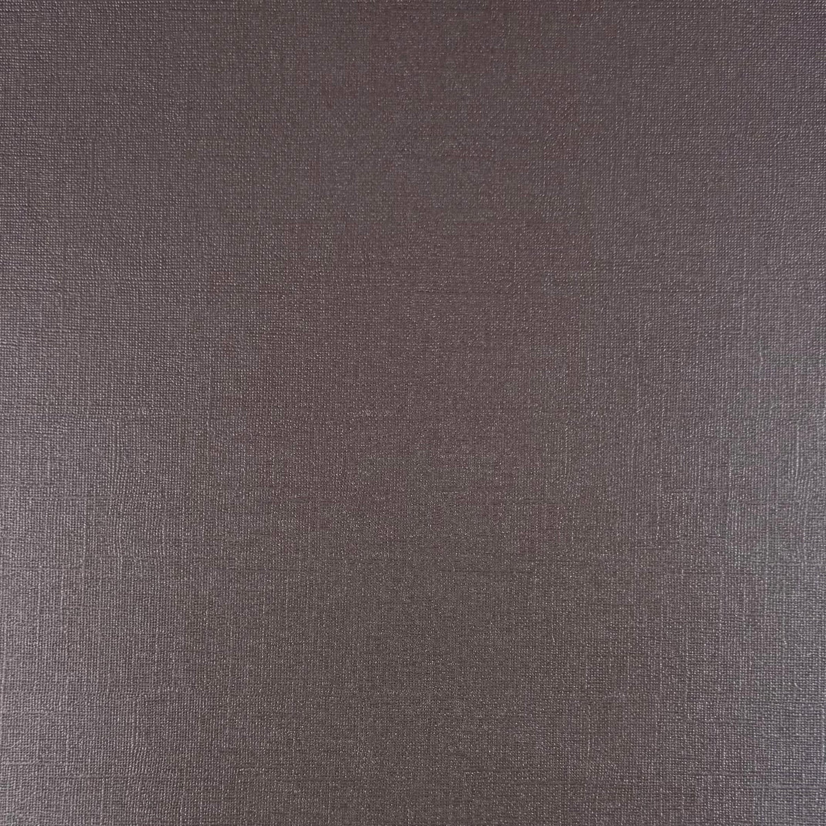 Encore - 12 x 12 Shimmer Textured Pearlescent Cardstock - Dove Gray
