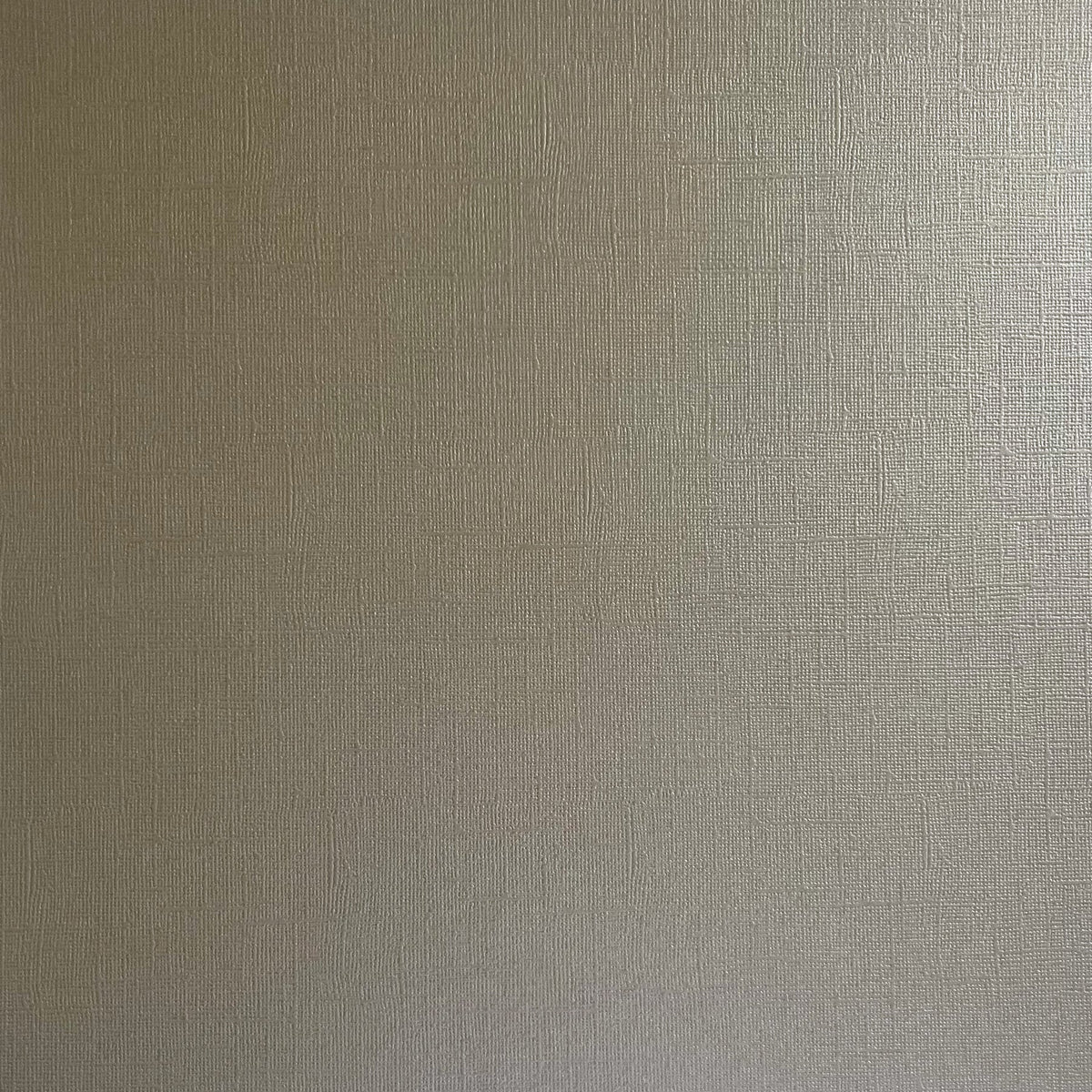 Encore - 12 x 12 Shimmer Textured Pearlescent Cardstock - Driftwood