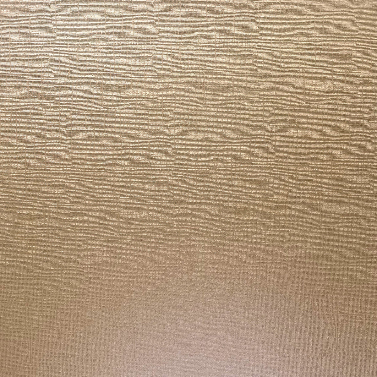 Encore - 12 x 12 Shimmer Textured Pearlescent Cardstock - Gold Sand
