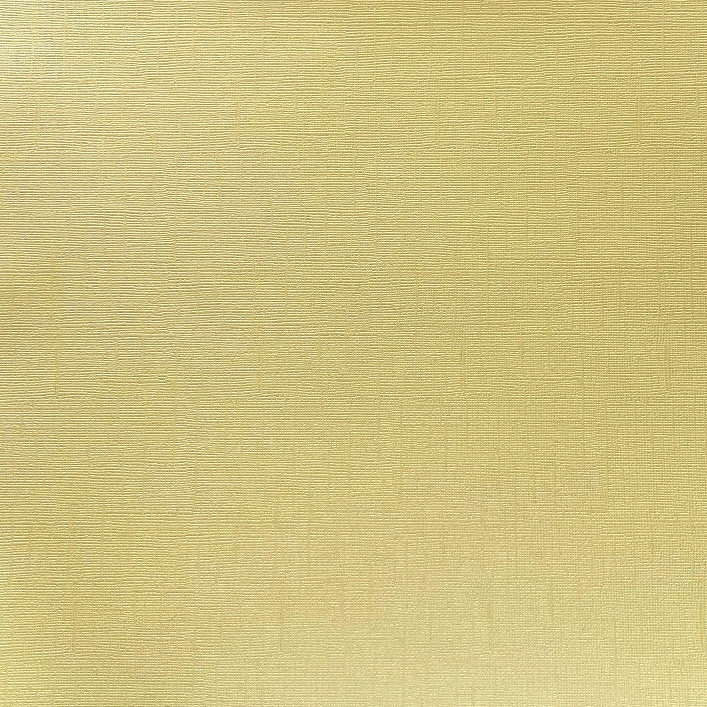 Encore - 12 x 12 Shimmer Textured Pearlescent Cardstock - Honeycomb