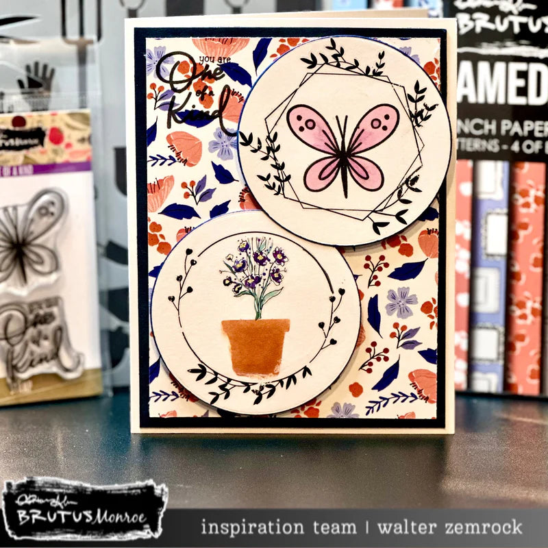 Brutus Monroe - Rooted In Kindness Collection - 6 x 6 Paper Pack - Framed Florals