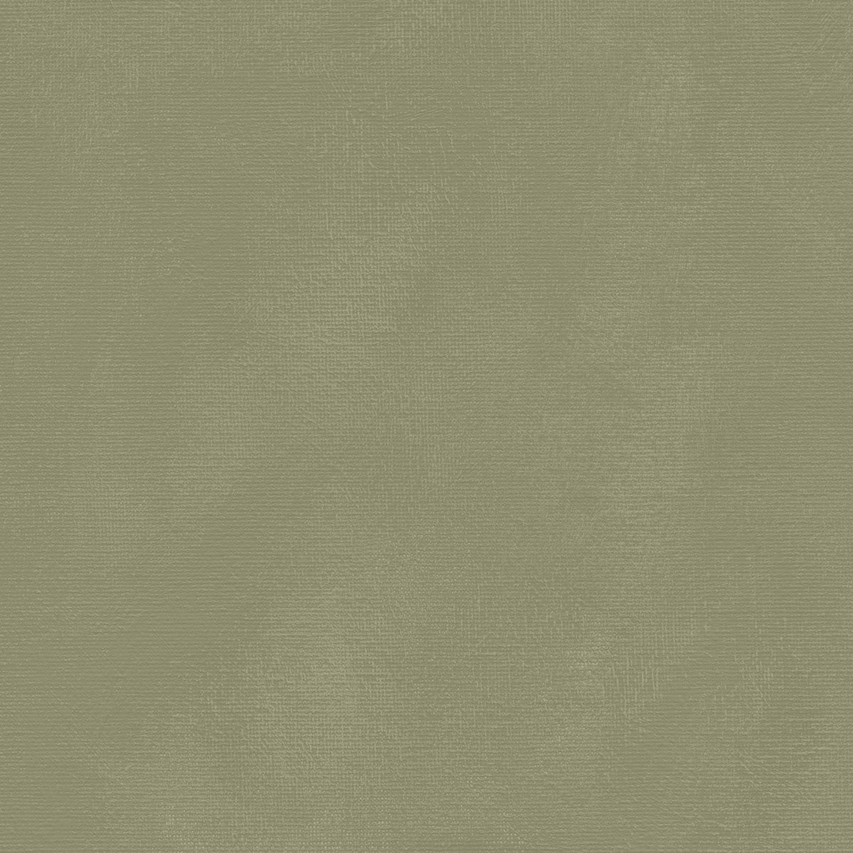 49 And Market - Chronicles Of Oz Collection - 12 x 12 Double Sided Paper - Solids Sheet - Weathered Moss