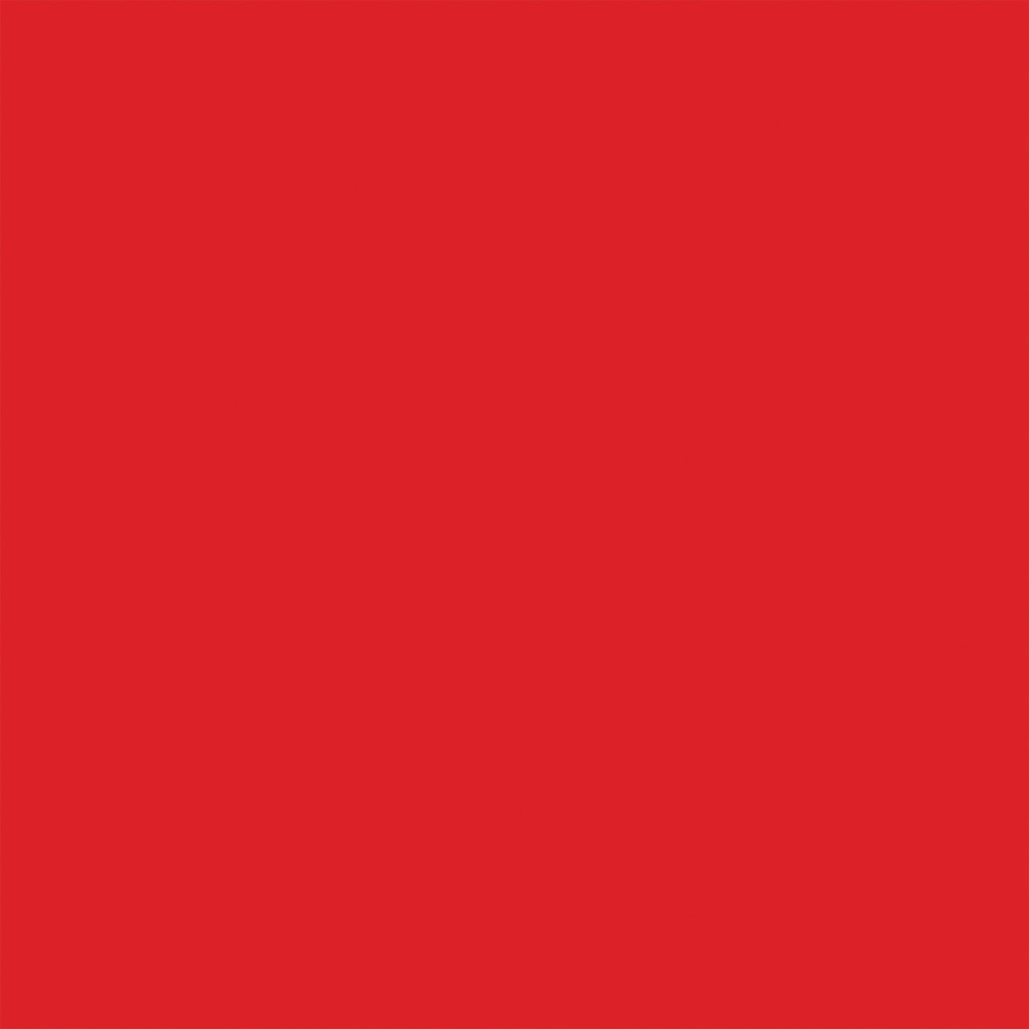 Echo Park - Strawberry Fields Collection - 12 x 12 Double Sided Paper - Red/Light Pink