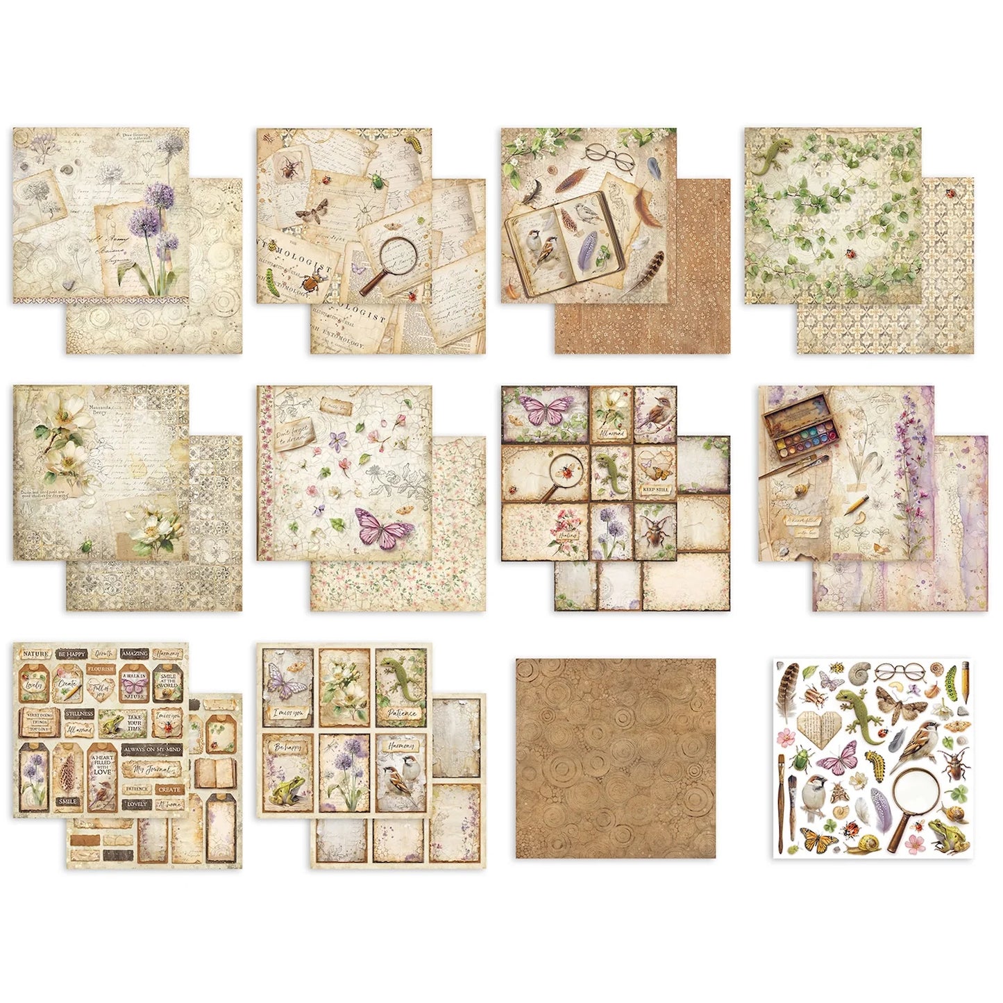 Stamperia - All Around Collection - 12 x 12 Double-Sided Paper