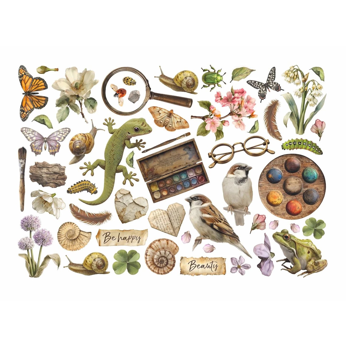 Stamperia - All Around Collection - Ephemera