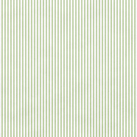 Uniquely Creative - Delighted Curiosities Collection - 12 x 12 Double Sided Paper -