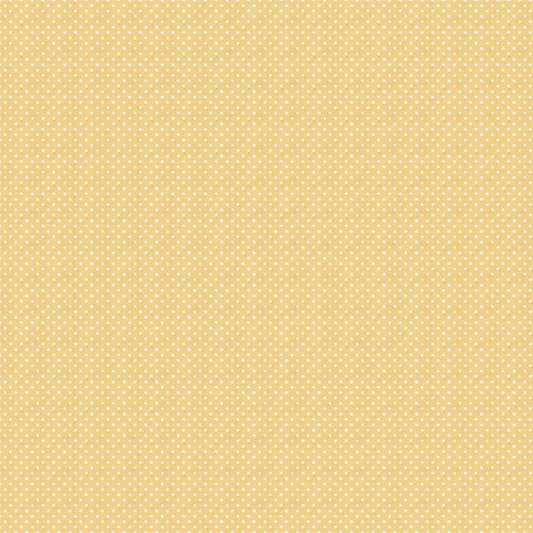 Uniquely Creative - Sweet As Honey Collection - 12 x 12 Double Sided Paper - Sunny Days
