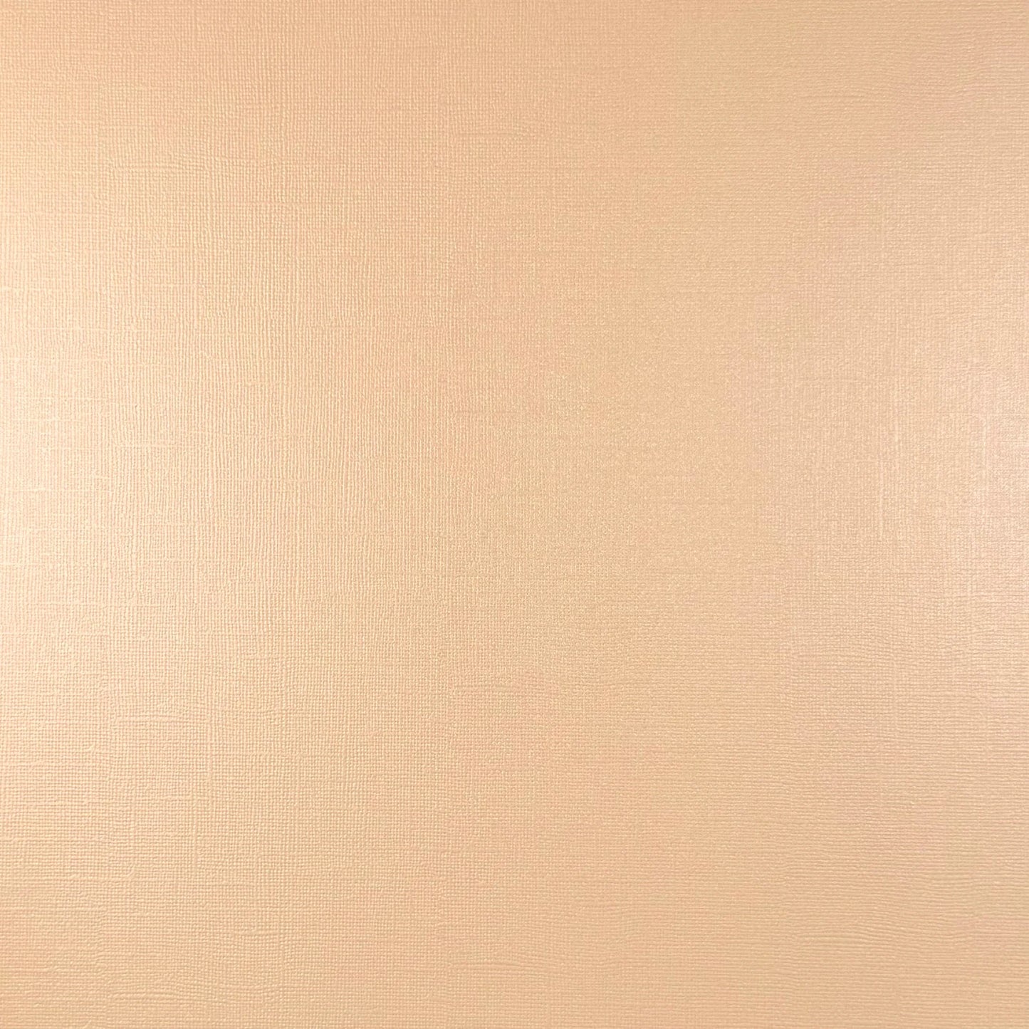 Encore - 12 x 12 Shimmer Textured Pearlescent Cardstock - Vanilla Pearl
