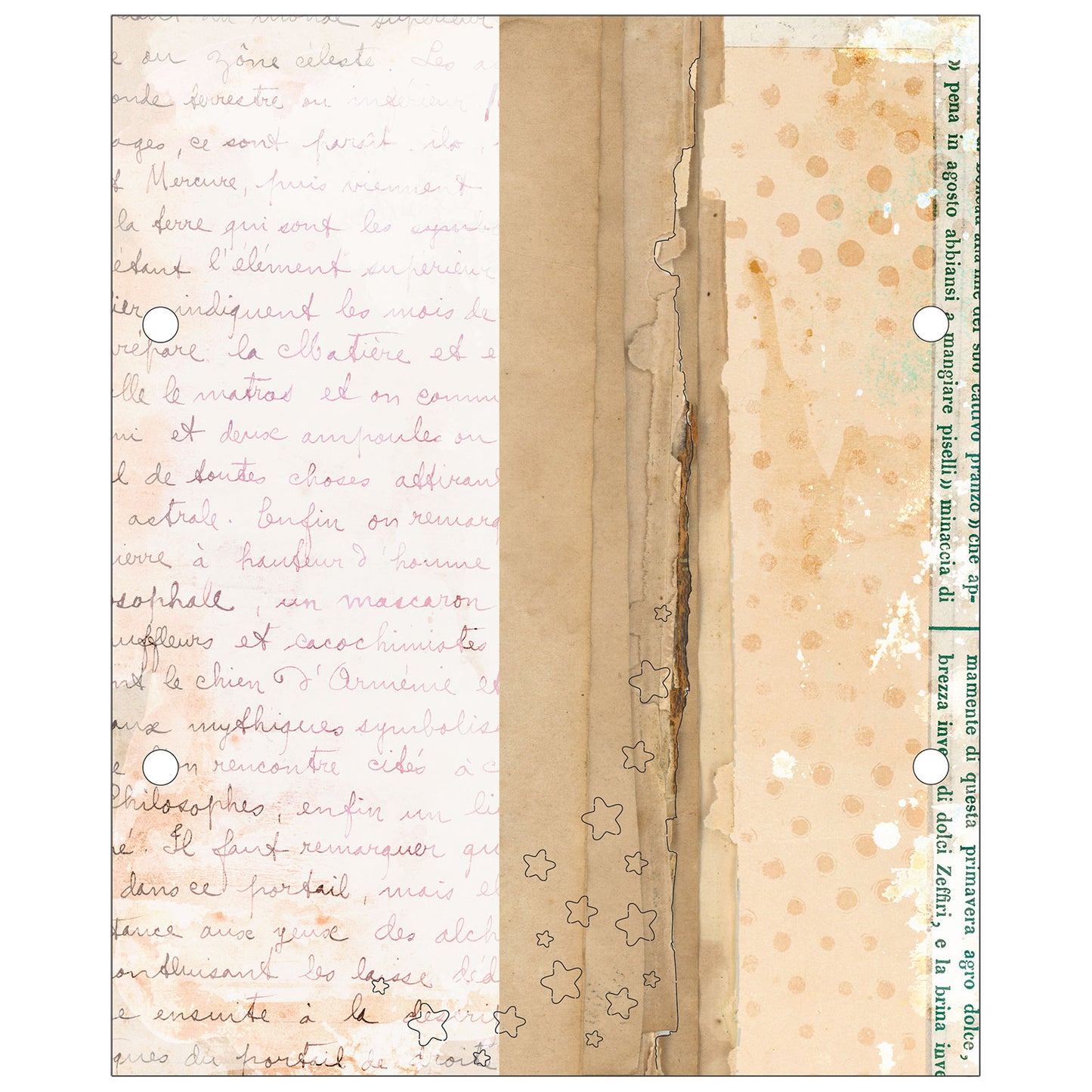 49 and Market - The Flower Emporium by Vicki Boutin - Album Kit