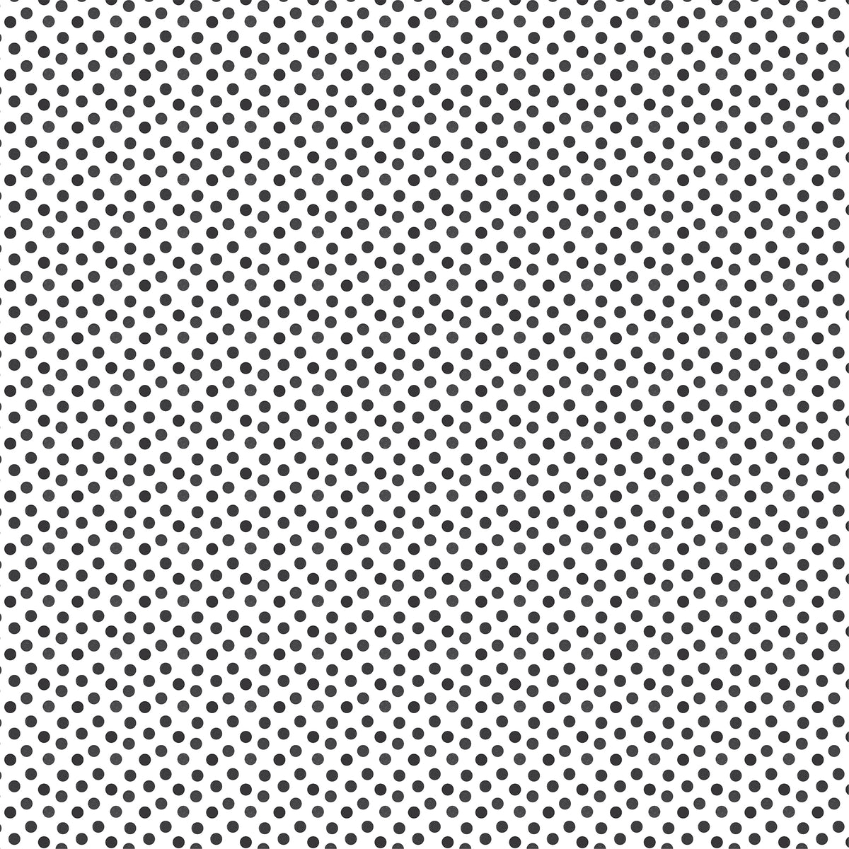 Echo Park - Watercolor Polka Dot Christmas Collection - 12 x 12 Double Sided Paper - Black