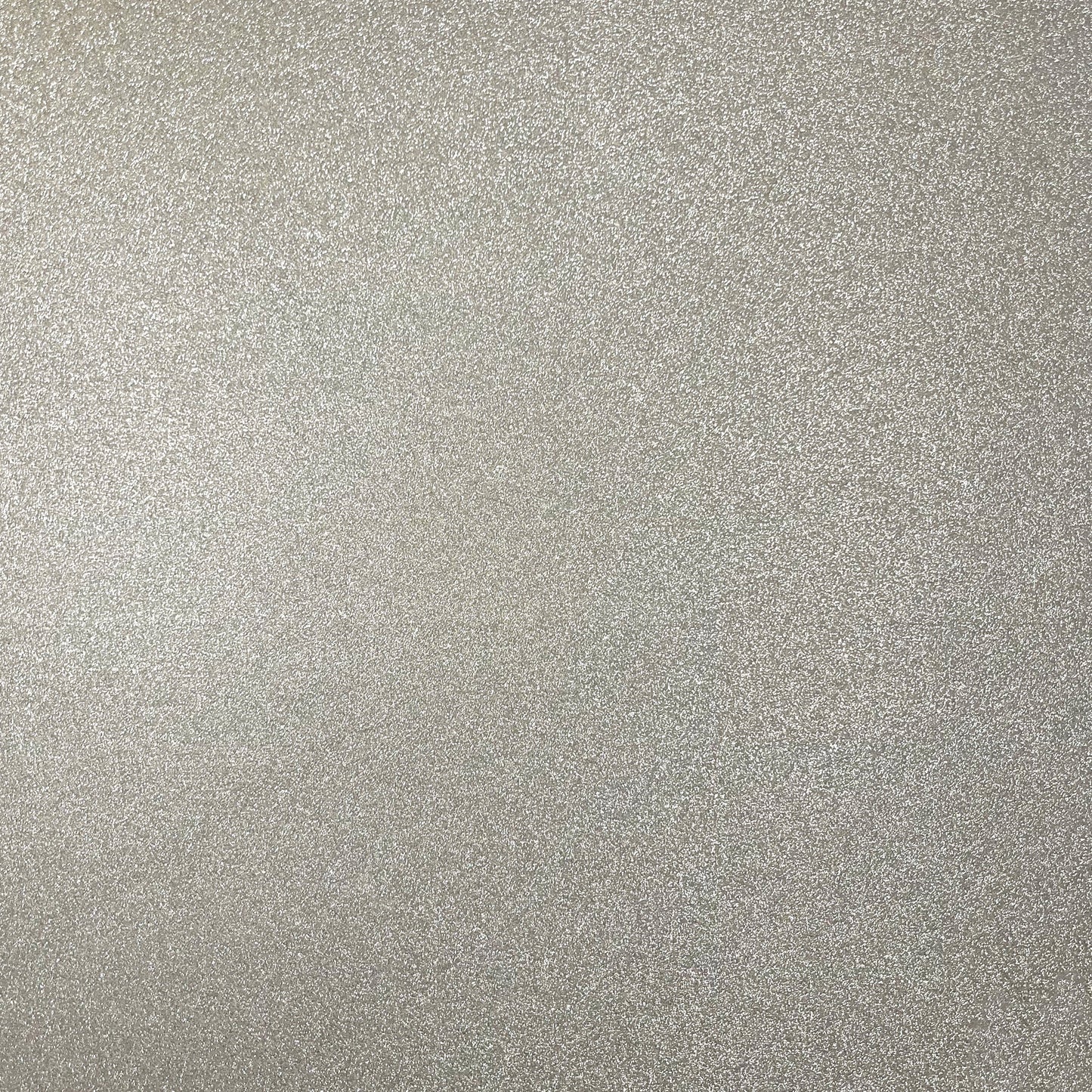 Encore Paper - 12 x 12 WOW No Shed Glitter Paper - Silver