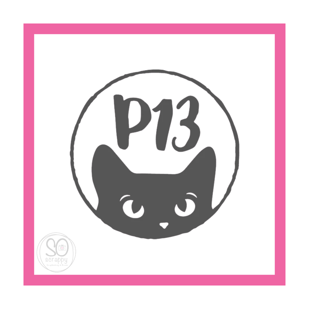 P13