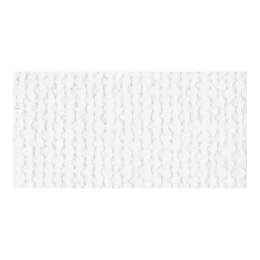 Bazzill Basics - 12 x 12 Cardstock Pack - Canvas Texture - Mono - White Canvas