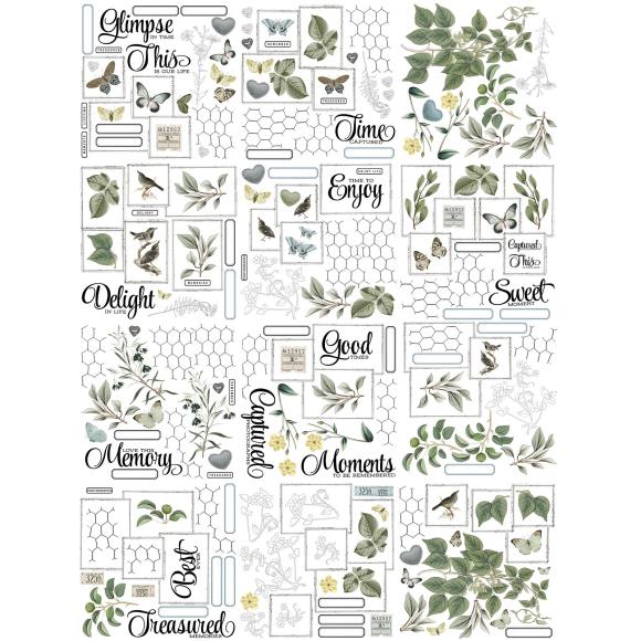 49 and Market - Moonlit Garden Big Picture Album