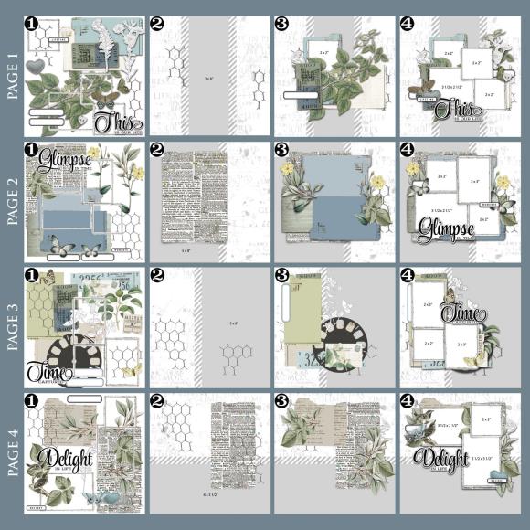 49 and Market - Moonlit Garden Big Picture Album