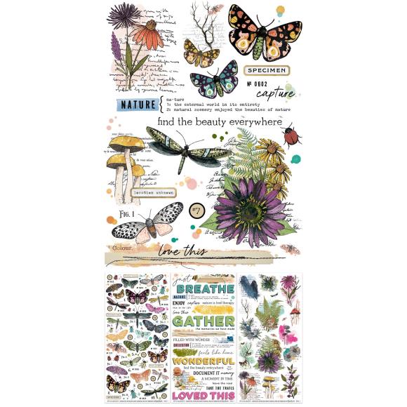 49 and Market - Curiosities in Willow Grove - Essential Rub-On Transfer Set