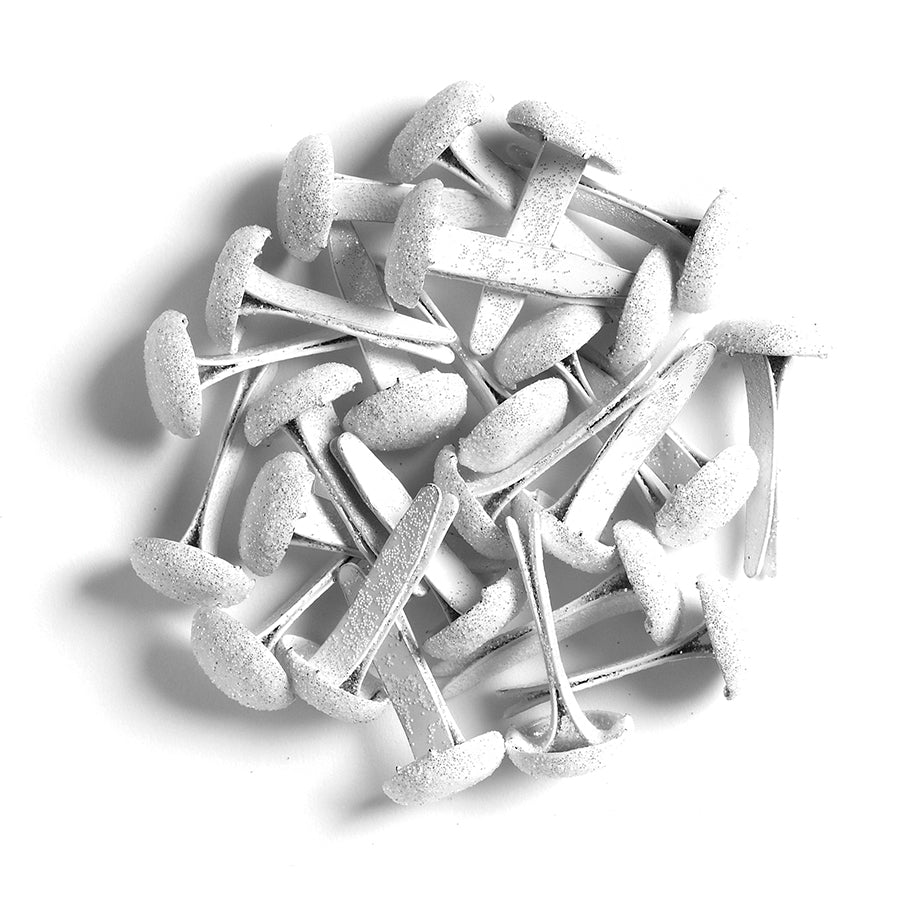 white sugar-coated brads on a white background