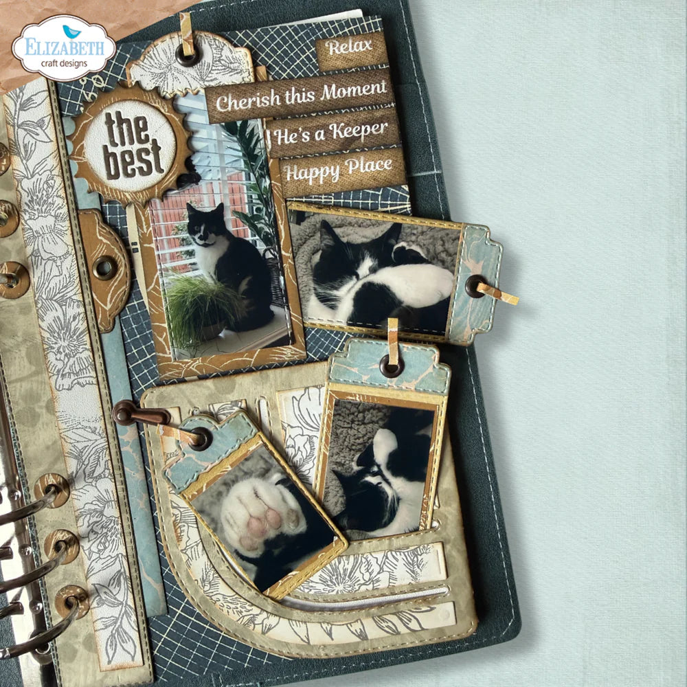 Elizabeth Craft Designs - Delightful Discovery Collection - Dies - Rounded Pocket With Tags