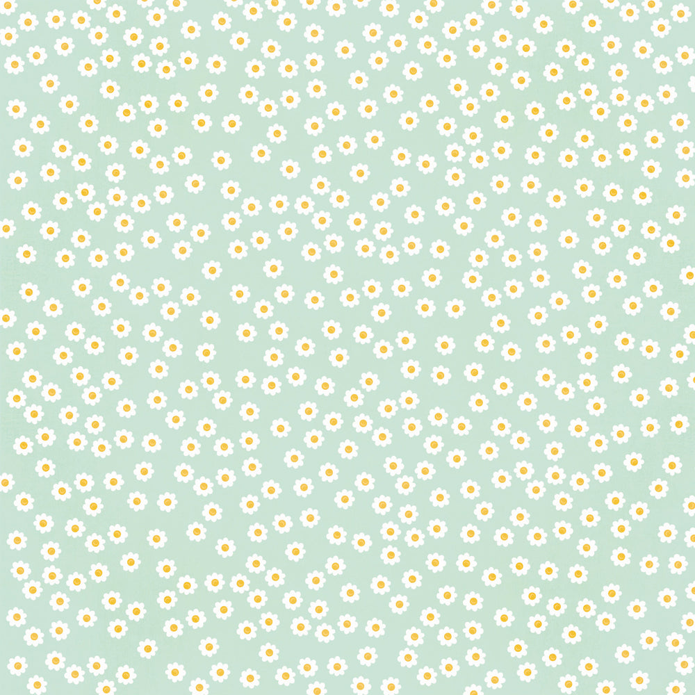 Pattern of small white flowers with yellow centers on a light blue background