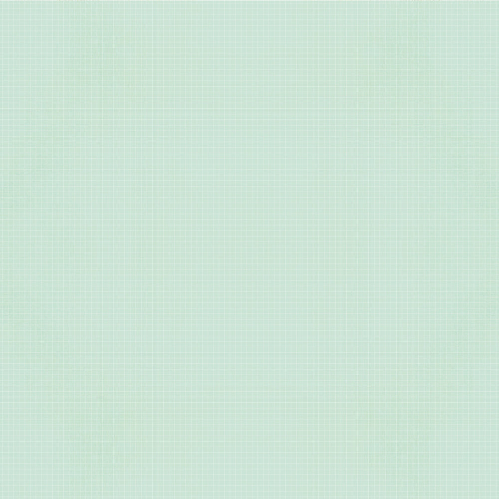 Solid light green 12 x 12 paper