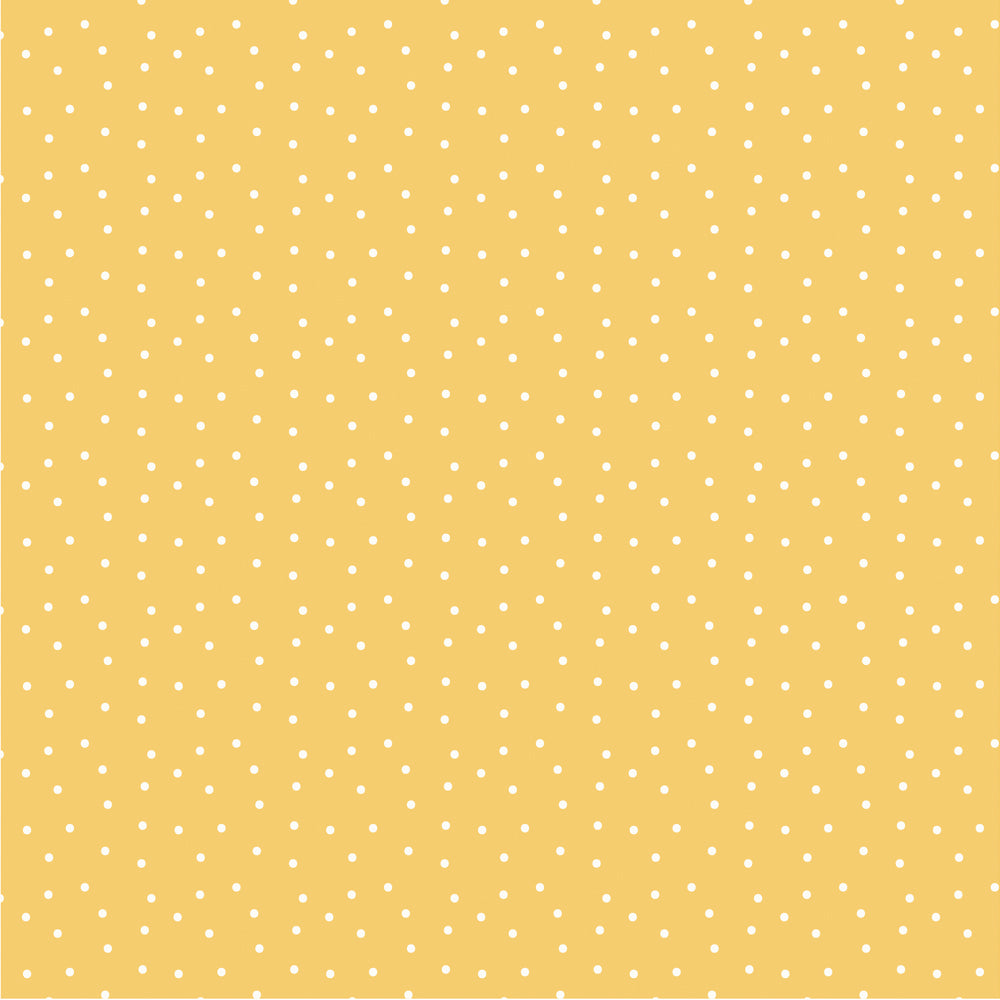 Simple Stories - Pink Lemonade Collection - 12 x 12 Double Sided Paper - Main Squeeze