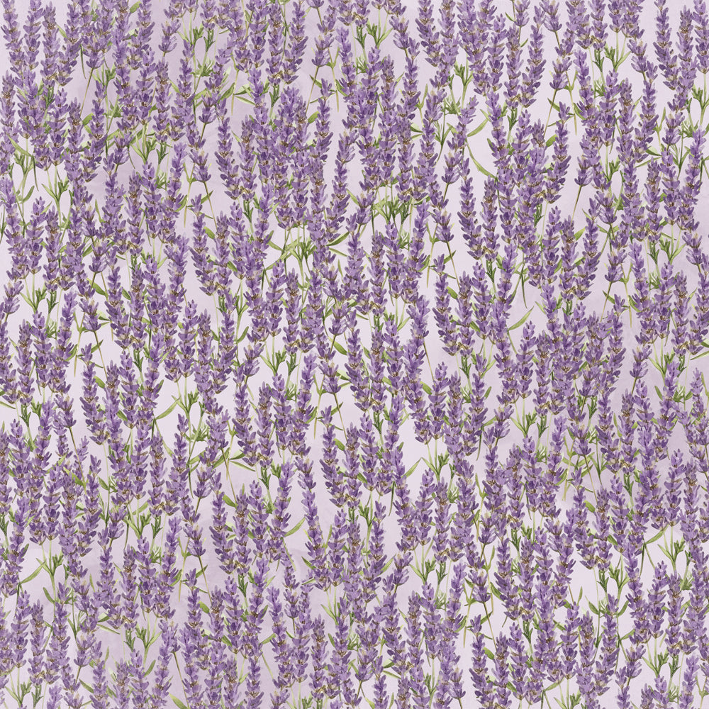 Simple Stories - Lavender Fields Collection - 12 x 12 Double Sided Paper - Wild At Heart