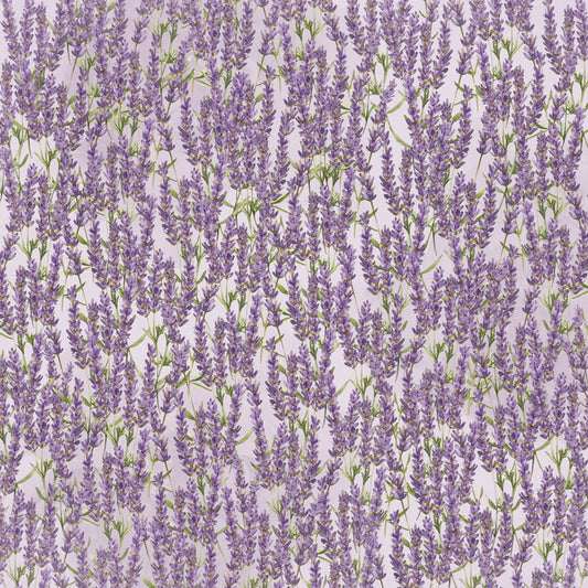 Simple Stories - Lavender Fields Collection - 12 x 12 Double Sided Paper - Wild At Heart