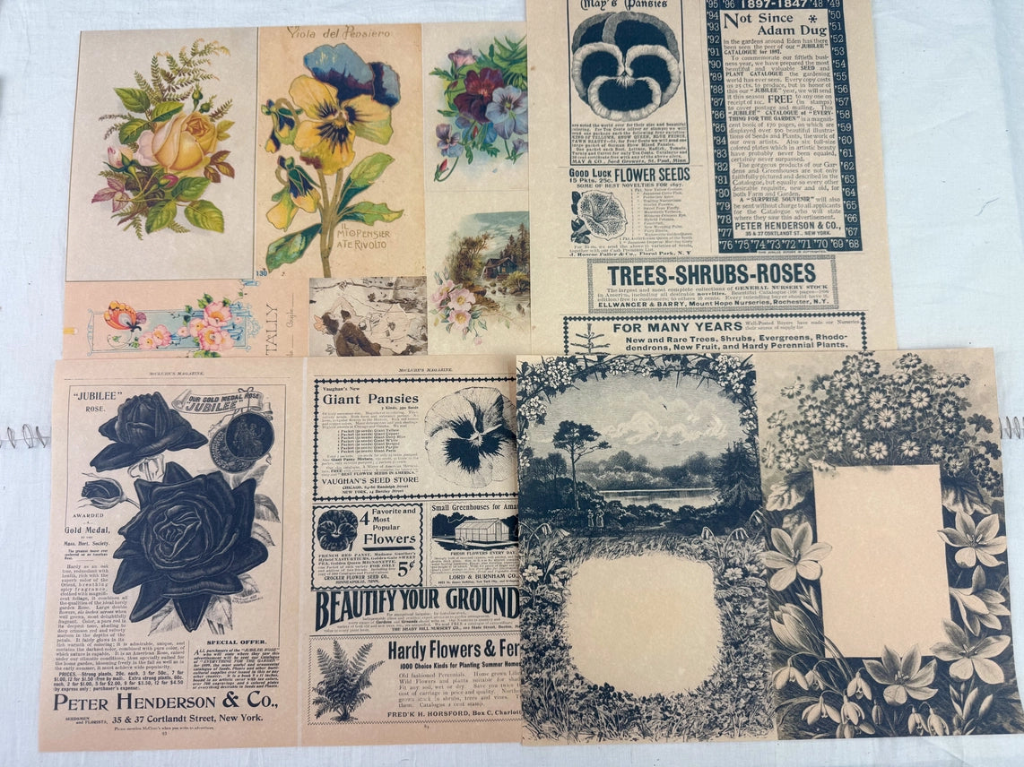 A House Of Books - Botanical and Nature Ephemera Kit For Junk Journaling