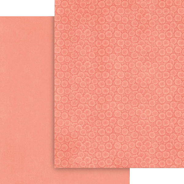 Graphic 45 - Fairy Boutique Collection - 8.5" x 11" Solids & Patterns pack