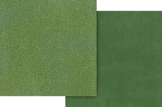 Graphic 45 - Wonder of Oz Collection - Double-Sided Cardstock 12"X12" - Emerald Green Pattern