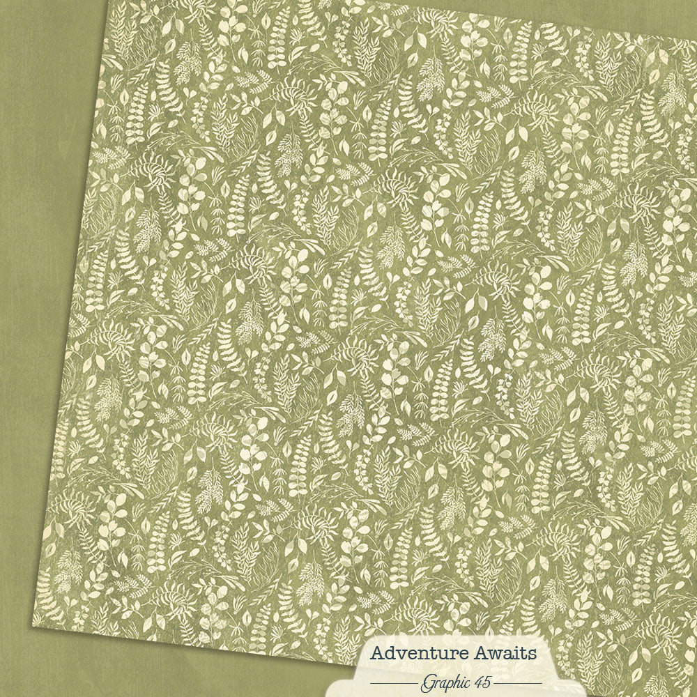 Graphic 45 - Adventure Awaits Collection - 12 x 12 Double-Sided Paper - Fern Green Patterns And Solids