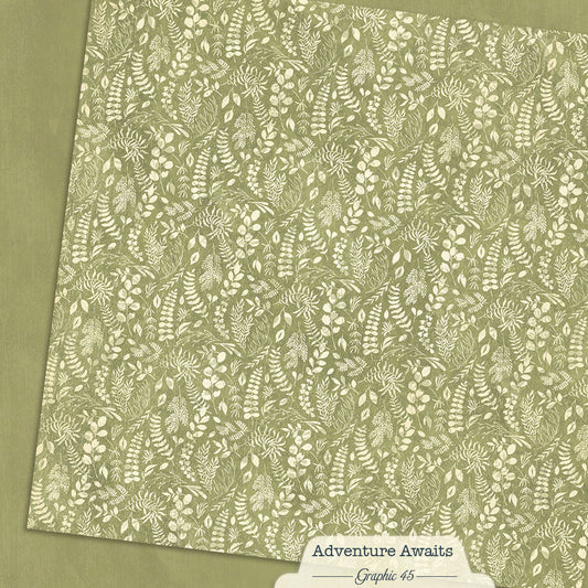 Graphic 45 - Adventure Awaits Collection - 12 x 12 Double-Sided Paper - Fern Green Patterns And Solids