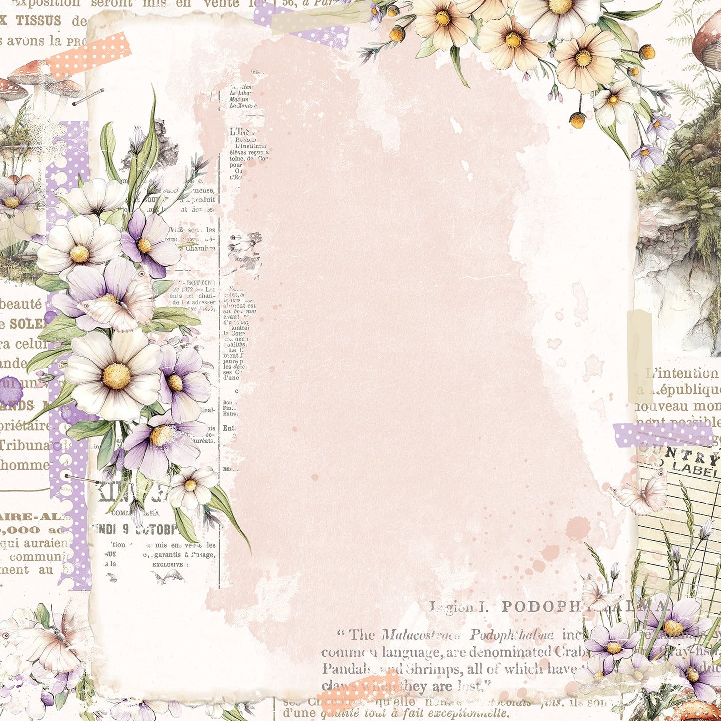 49 and Market - The Looking Glass Collection - 12 x 12 Double-Sided Paper - Enchanted Note