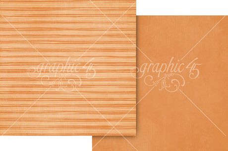 Graphic 45 - Scenic Route Collection - 12 x 12 Double Sided Paper - Patterns and Solids -Vibrant Orange