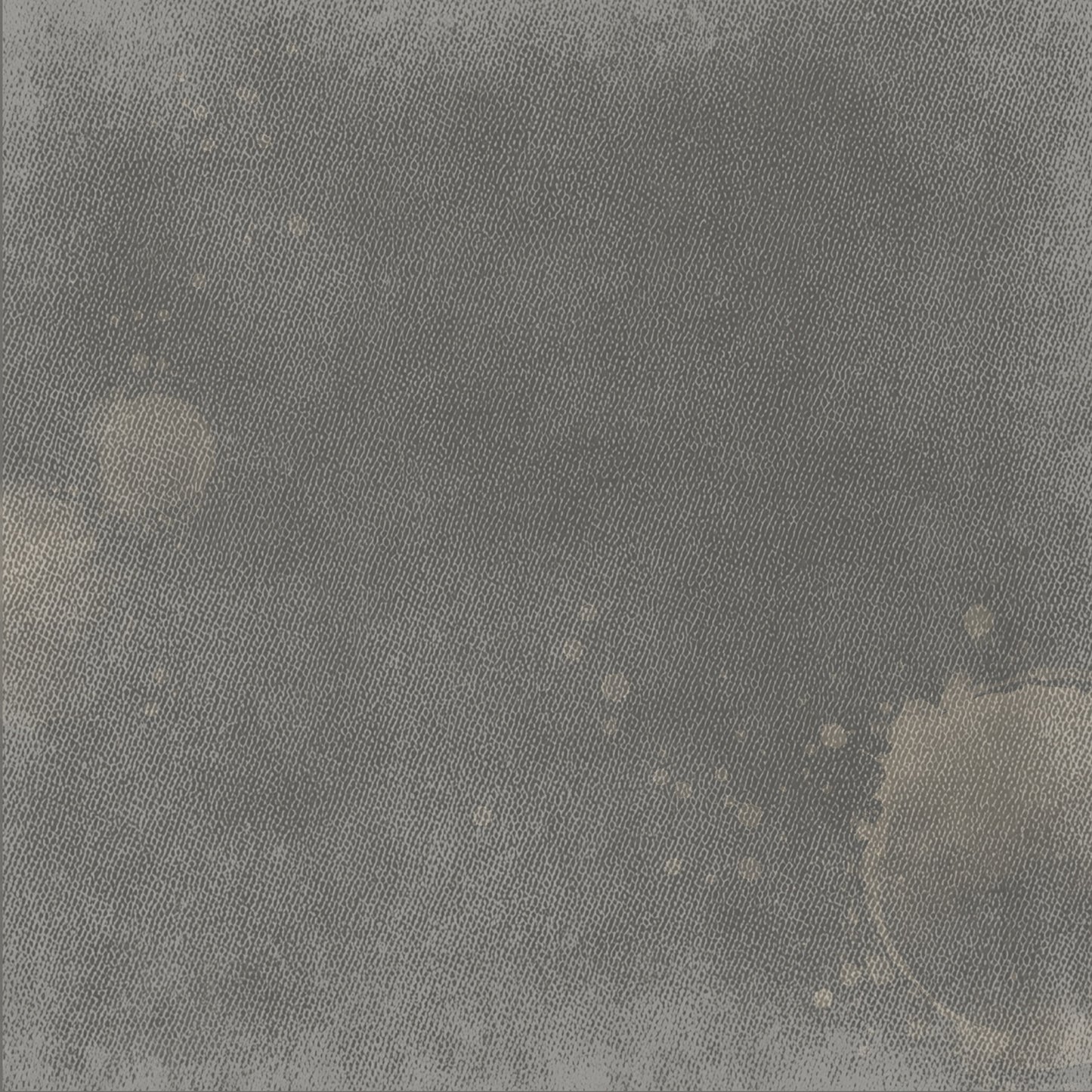 49 And Market - Faded Memory Lane Collection - 12 x 12 Double Sided Paper - Documented