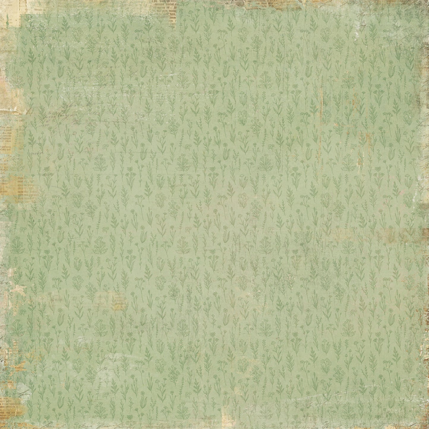 49 And Market - From The Garden Collection - 12 x 12 Double Sided Paper - Seed & Soil